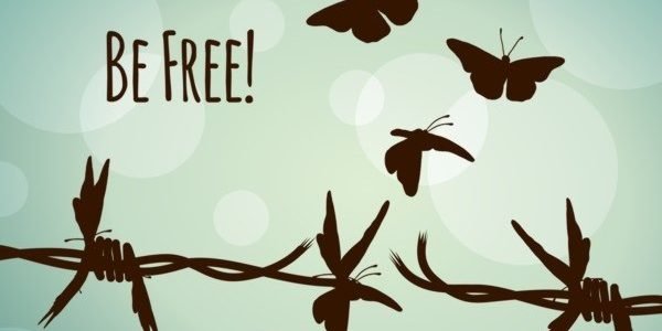 be free – web2