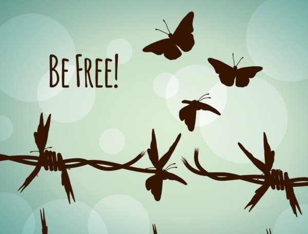 be free – web2